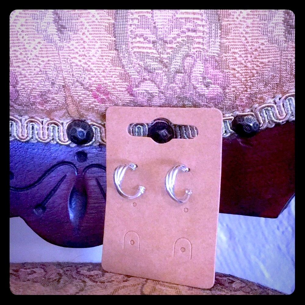 Cute Silver Hoop Earrings- Never Worn